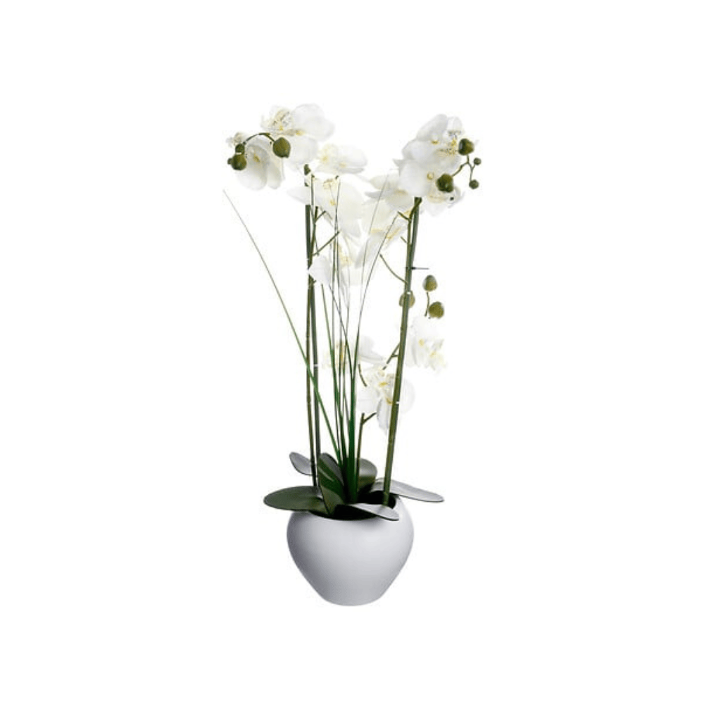 Alpha 55 Blanc Orchidée Alini décorative avec vase en céramique