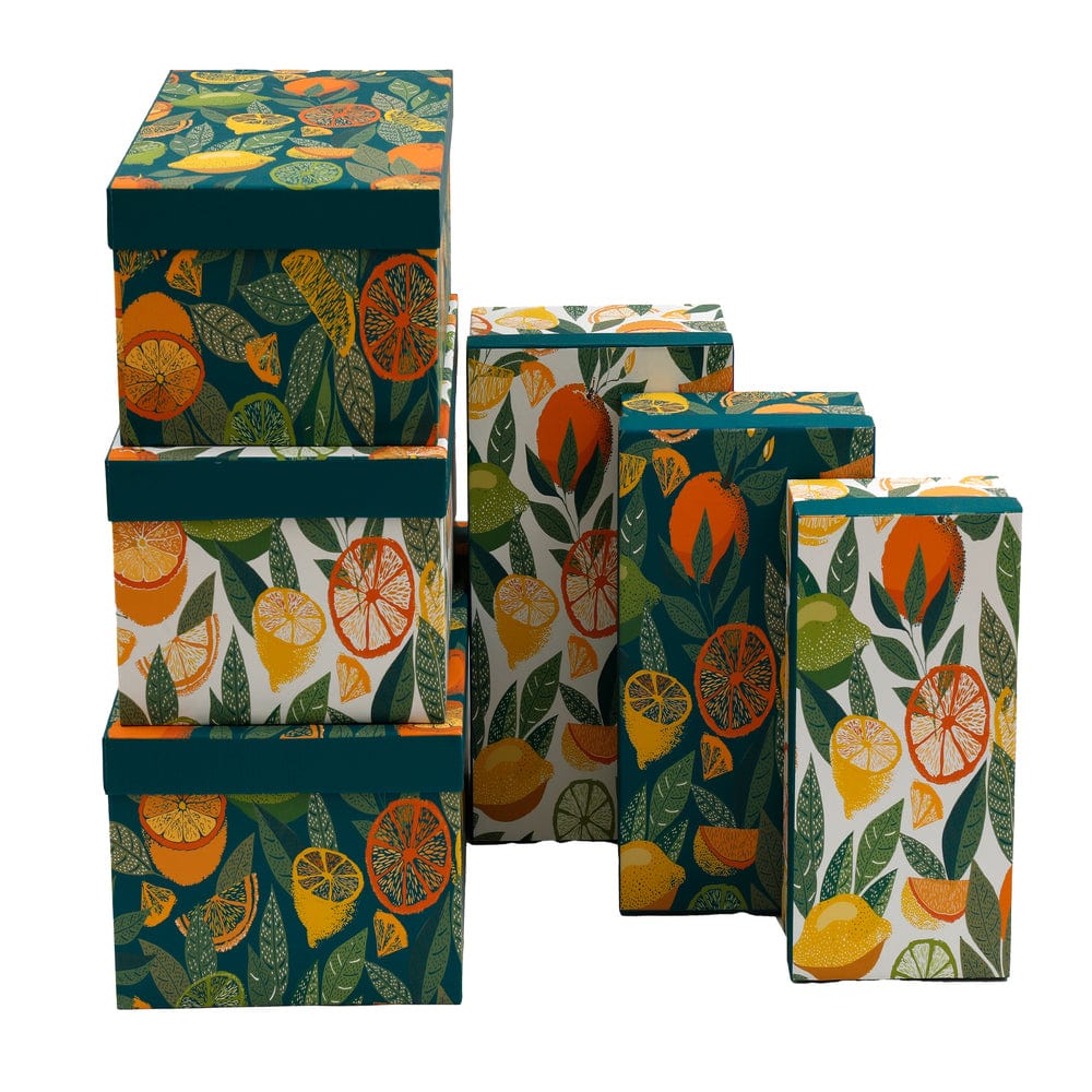 Alpha 55 Boîte de rangement motif agrumes