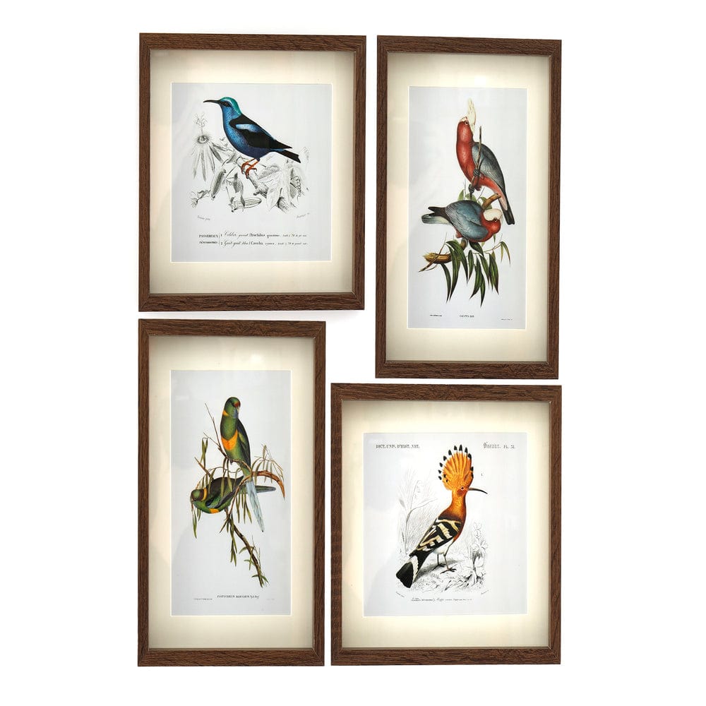 Alpha 55 Cadre mural déco oiseau