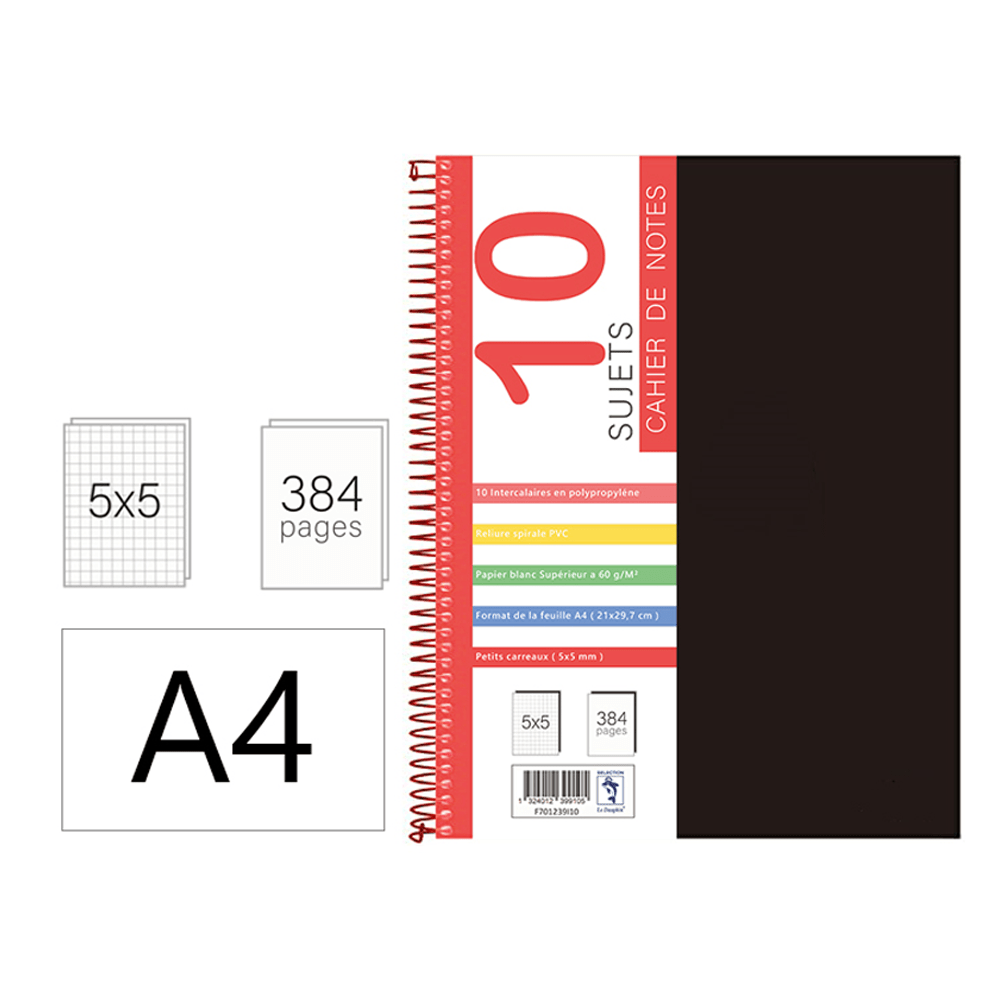 Alpha 55 Cahier polypro de 10 sujets 21x29,7, 384p