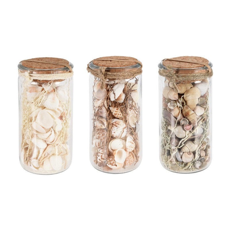 Alpha 55 Coquillages décoratifs en pot en verre