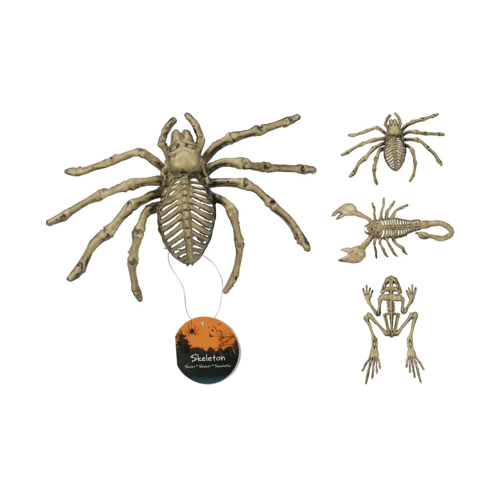 Alpha 55 Créature Squelette 3 Assortiments Décoration Halloween