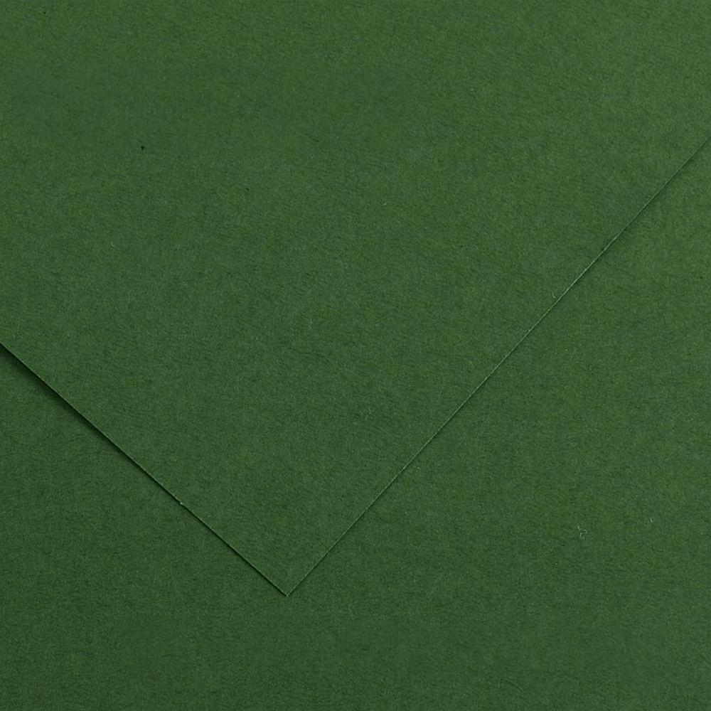 Alpha 55 Feuille dessin canson 31