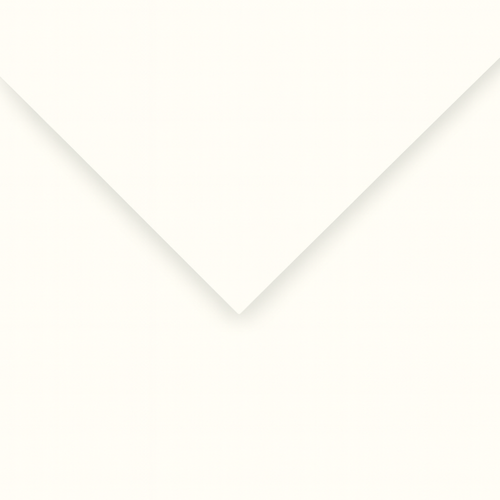 Alpha 55 Feuille dessin canson 49