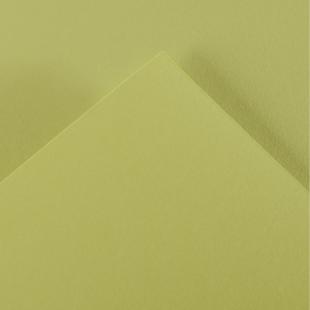 Alpha 55 Feuille dessin canson 88