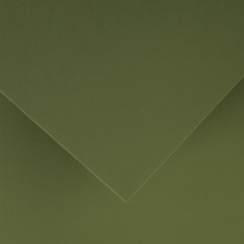 Alpha 55 Feuille dessin canson 89