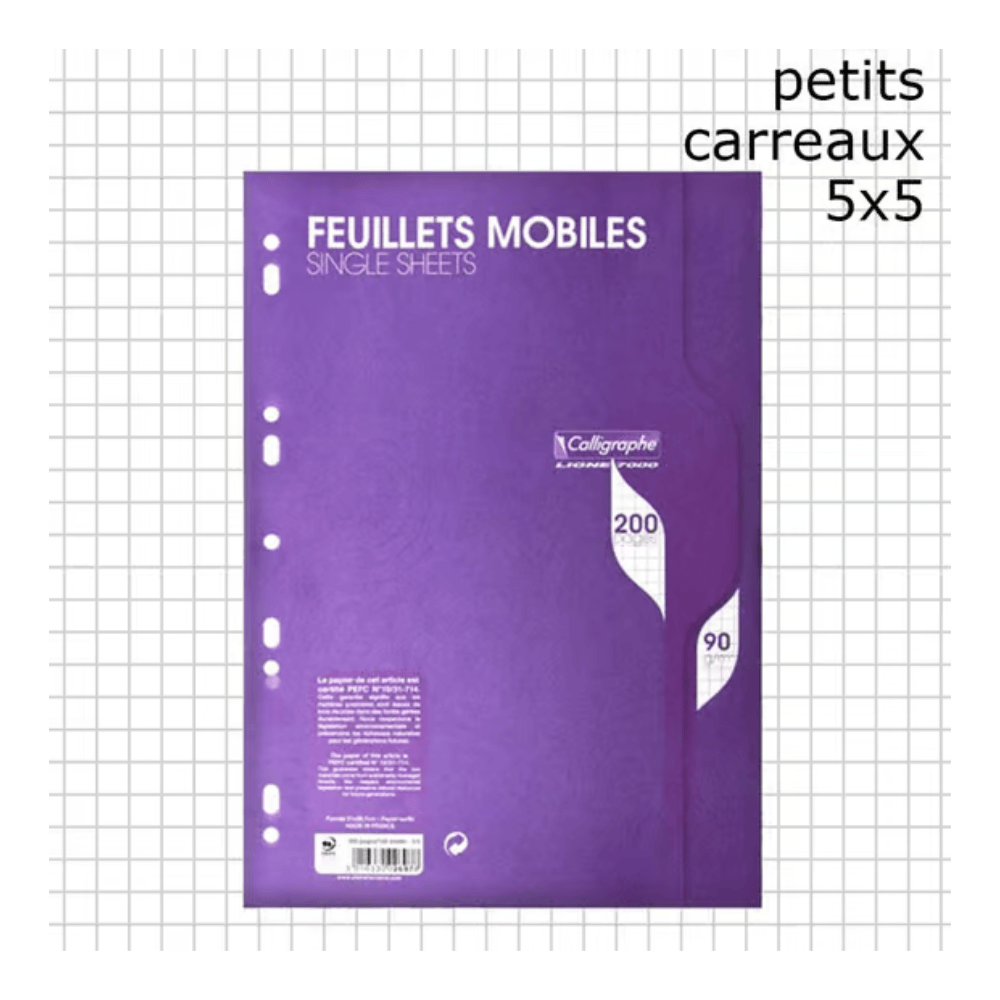 Alpha 55 Feuilles Simples A4 200 Pages 5x5 90g