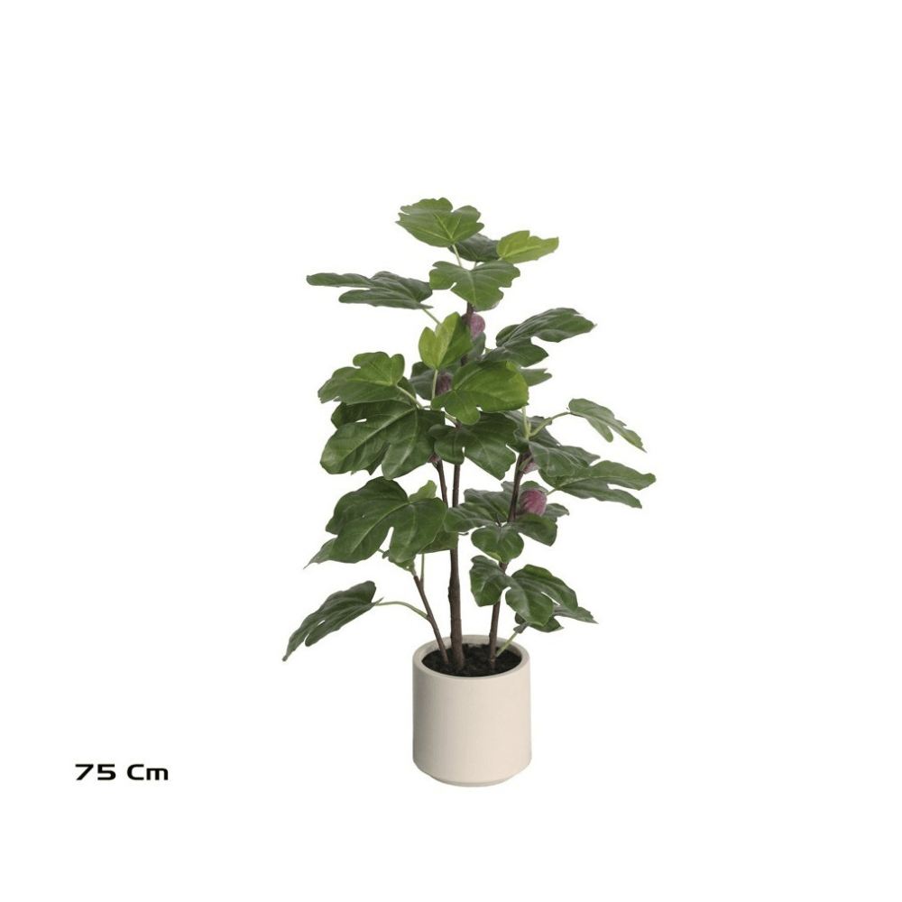 Alpha 55 Figuier en pot céramique vert déco nature
