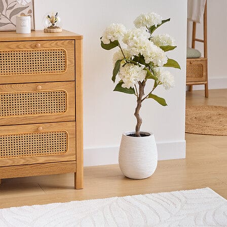 Alpha 55 Hortensia Mika blanc en pot céramique – Élégant