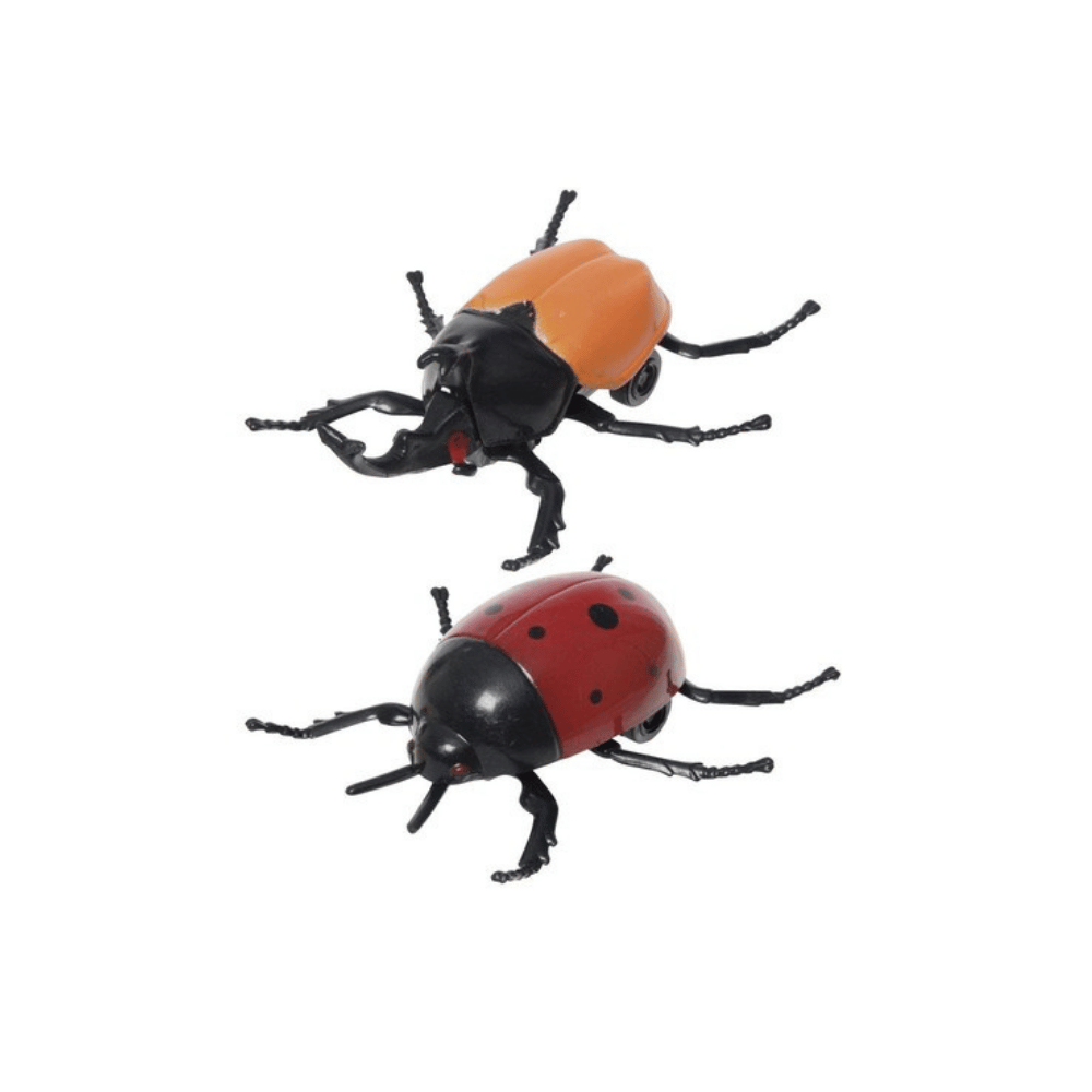 Alpha 55 Insecte à remonter jouet