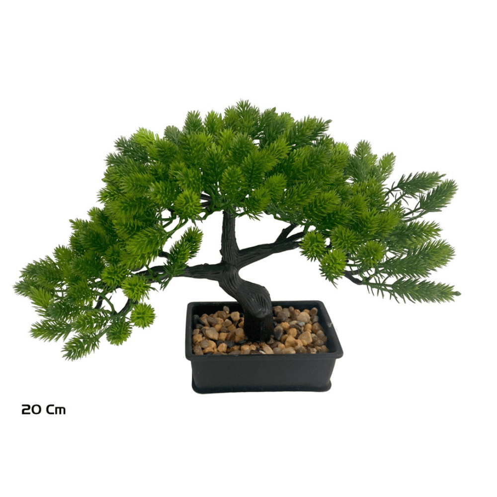 Alpha 55 Moyenne Bonsaï en pot plastique vert déco