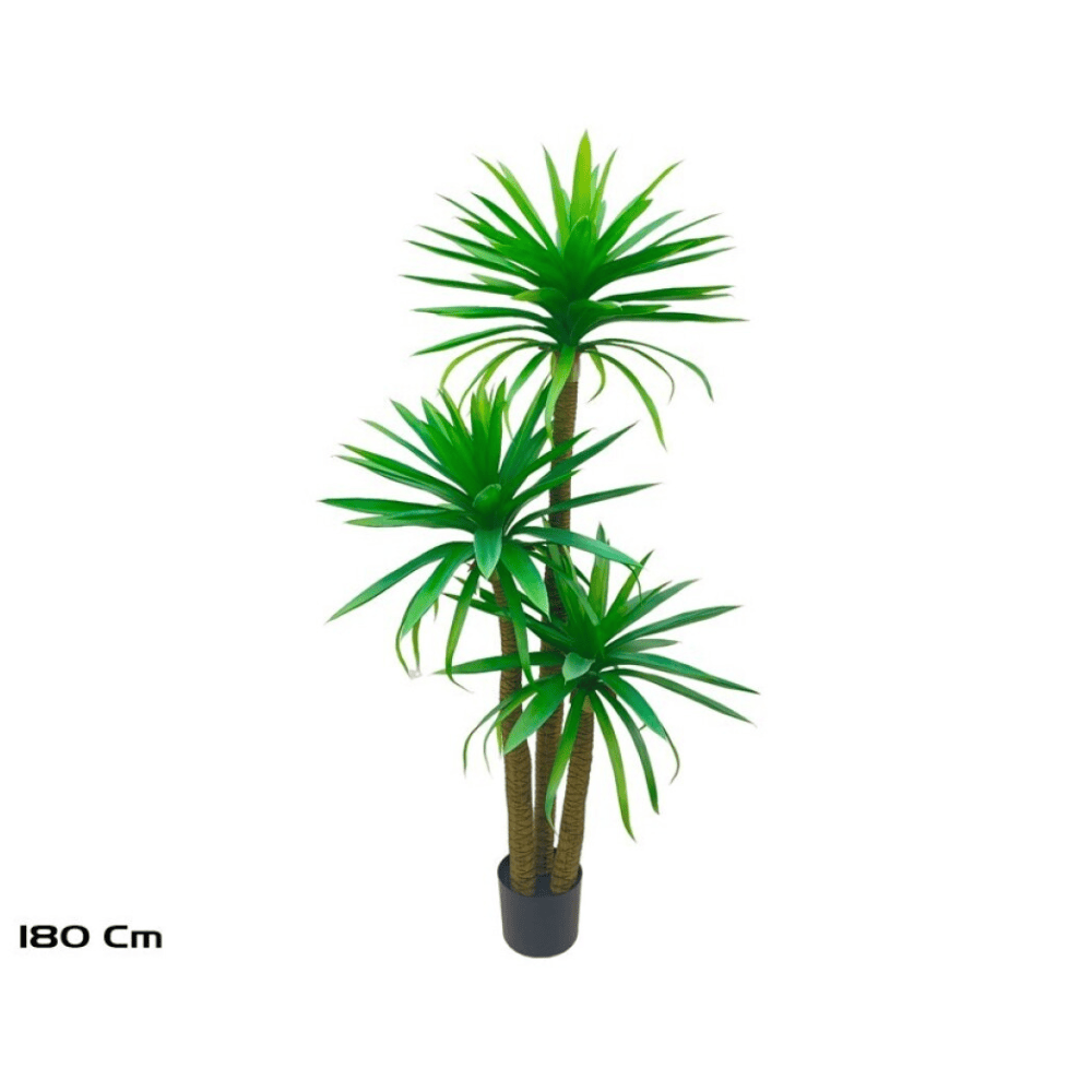 Alpha 55 Plante 3 Yucca avec pot plastique vert déco