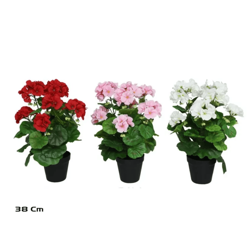 Alpha 55 Plante géranium pot en plastique déco fleurie