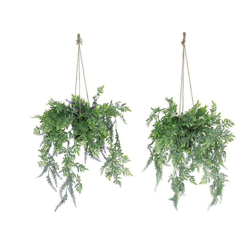 Alpha 55 Plante suspendue lavande avec pot décoratif