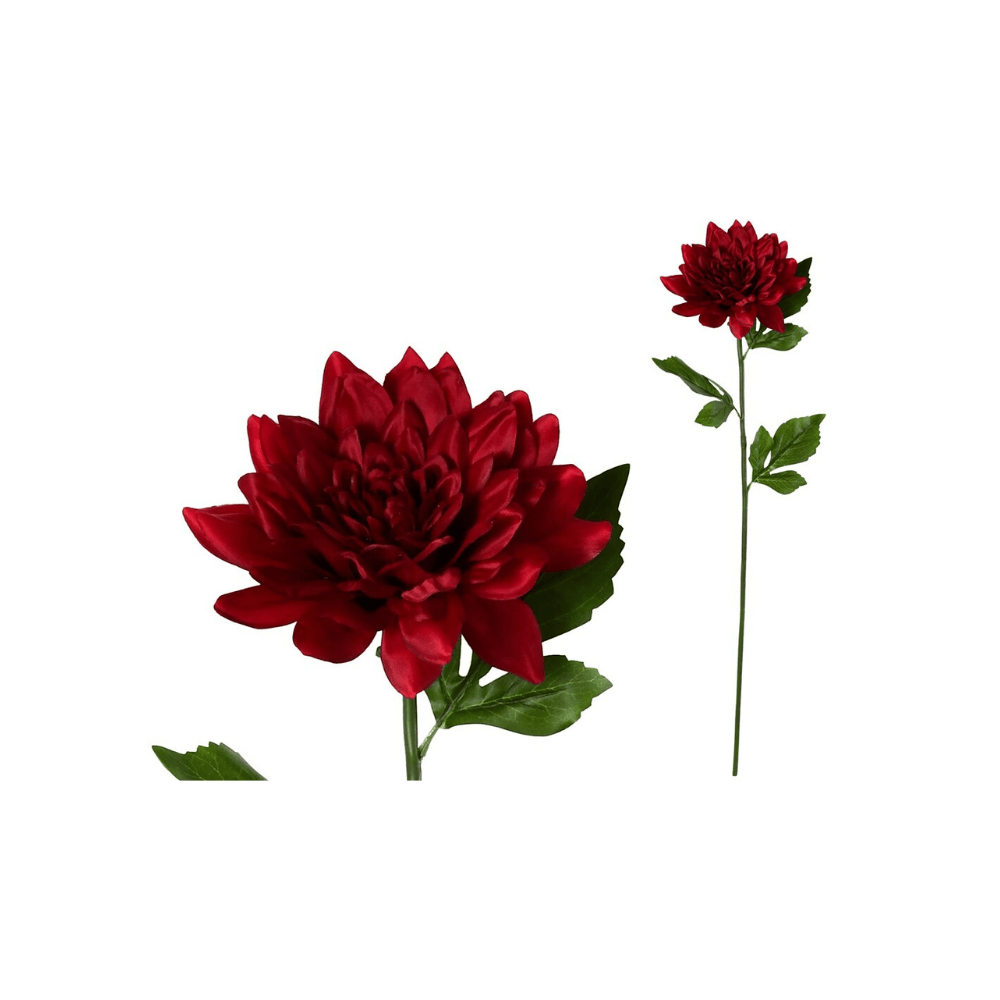 Alpha 55 Rouge Tige dahlia décorative élégante