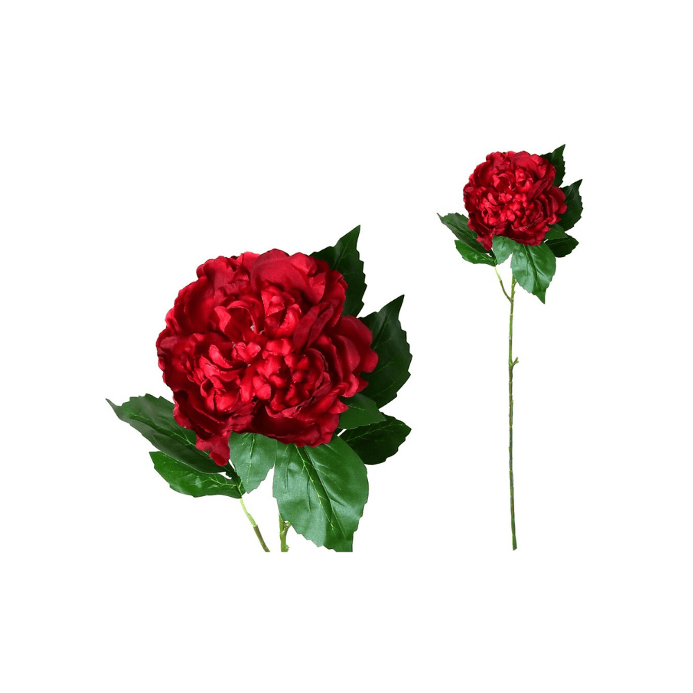 Alpha 55 Rouge Tige pivoine décorative élégante