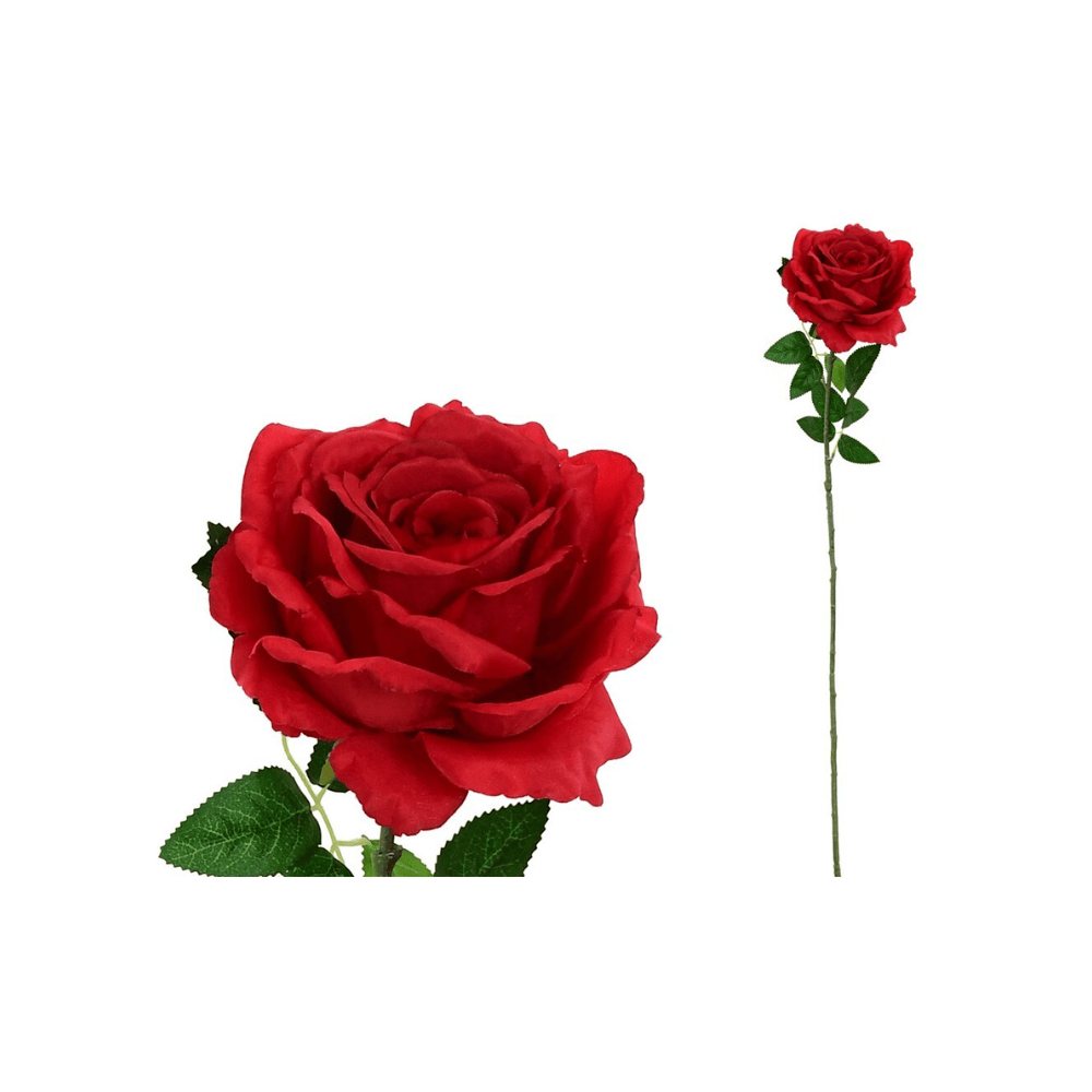 Alpha 55 Rouge Tige rose décorative élégante