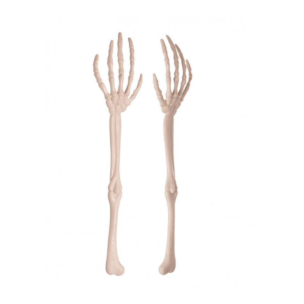 Alpha 55 Set de 2 Bras Squelette 35 cm – Décoration Halloween