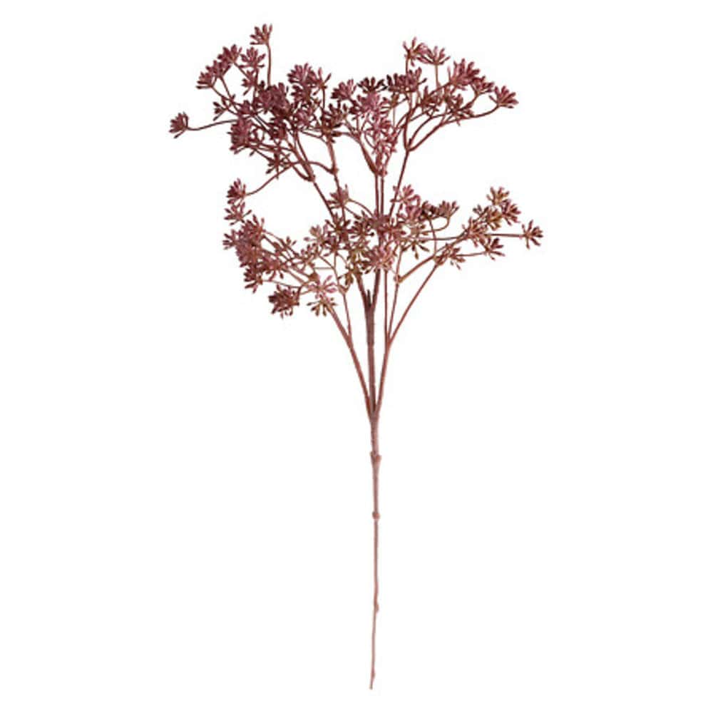 Alpha 55 Tige florale achilée