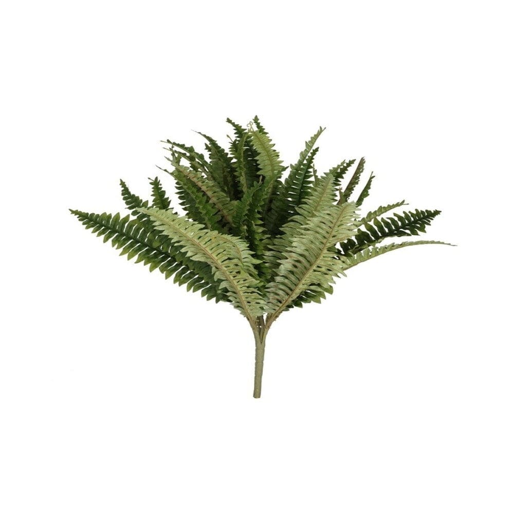 Alpha 55 Vert Branche de fougères Boston décorative