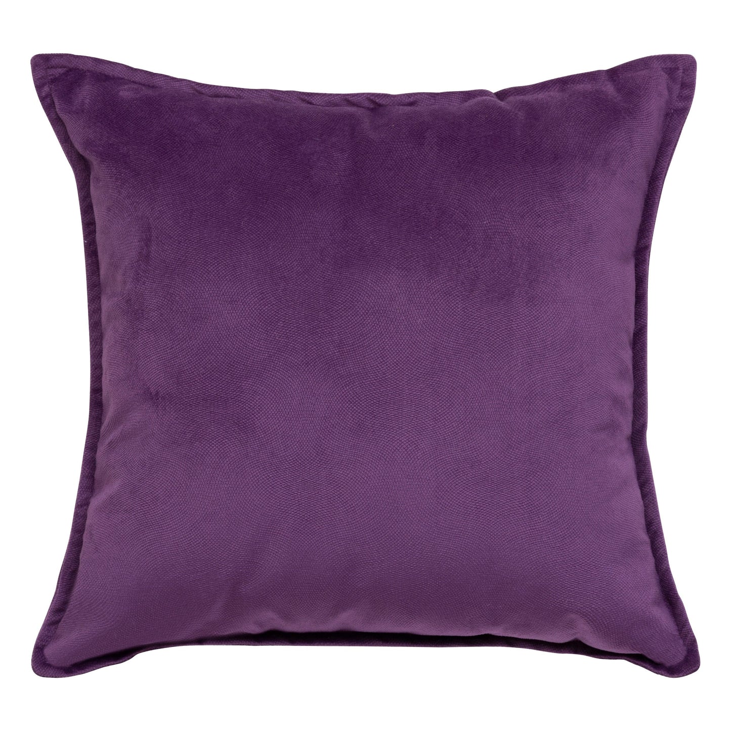 Alpha 55 Violet Coussin effet velour