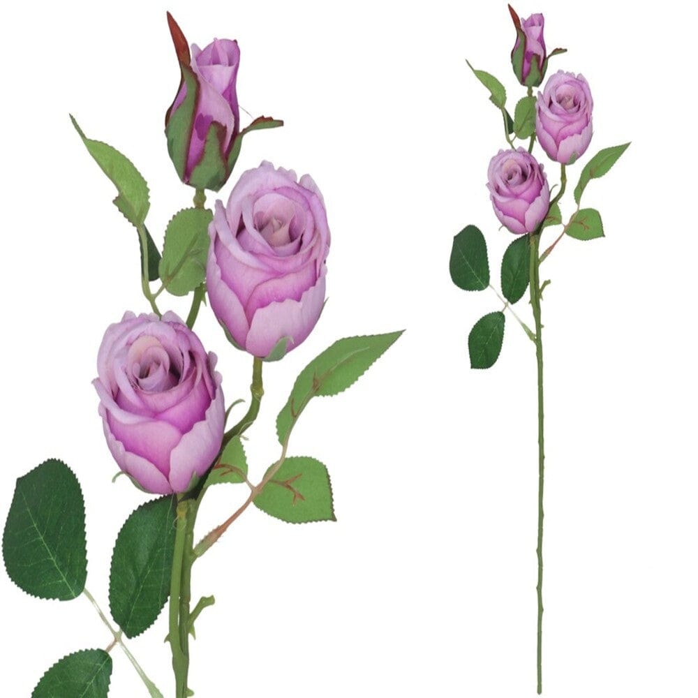 Alpha 55 Violet Tige de rose à 3 fleurs