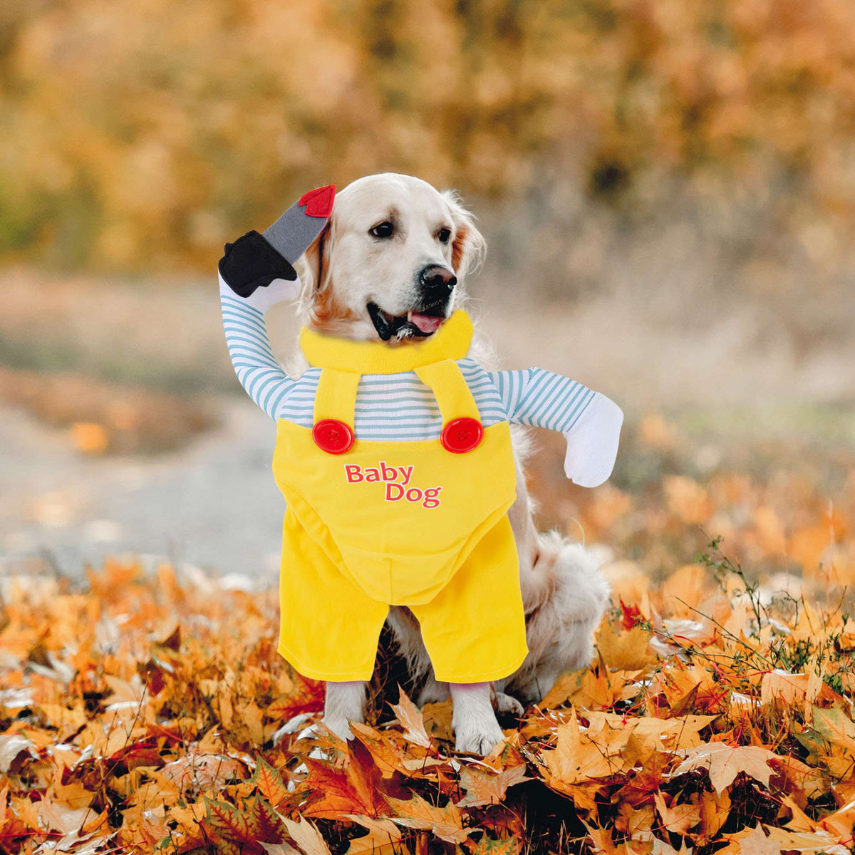 Déguisement Poupée Jaune avec Couteau pour Chien et Chat – Halloween