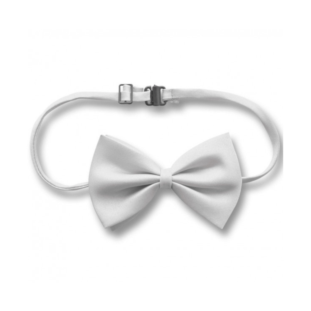 NŒUD PAPILLON Blanc Nœud Papillon Simple – Accessoire de Déguisement