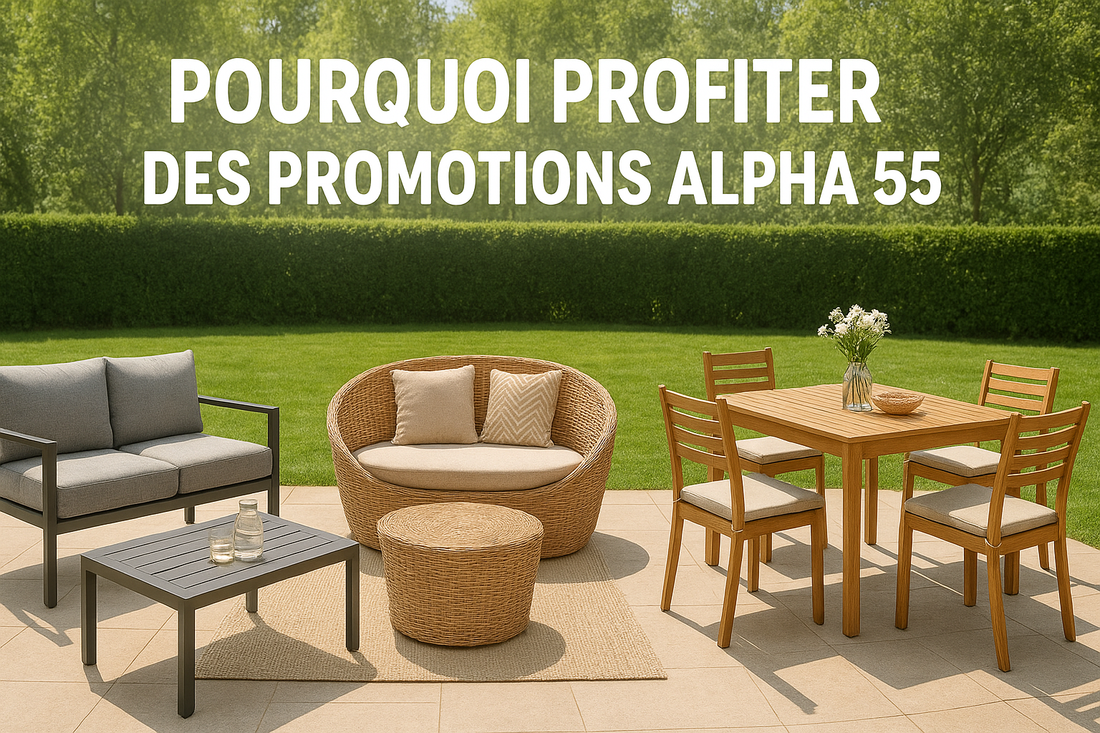 Pourquoi profiter des promotions Alpha 55 ?