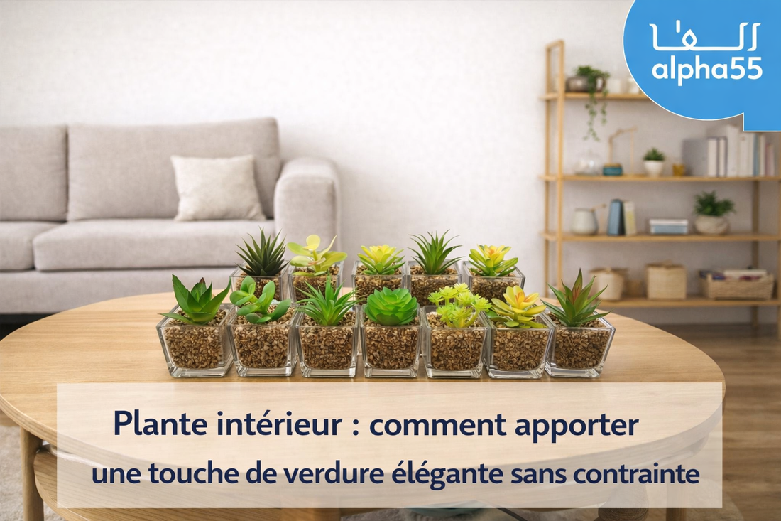Plante intérieur : comment apporter une touche de verdure élégante sans contrainte