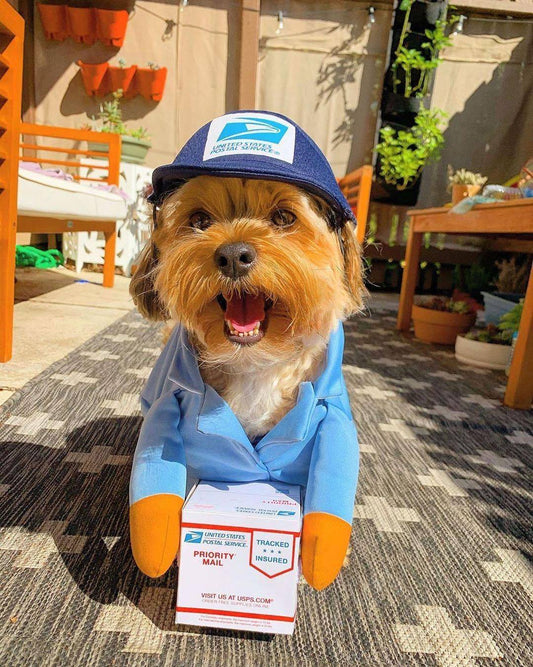 Déguisement Livreur avec Colis pour Chien et Chat