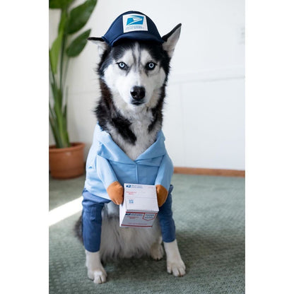 Déguisement Livreur avec Colis pour Chien et Chat