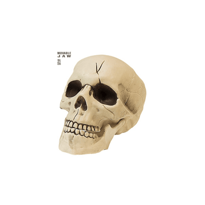 Crâne 21 cm à Mâchoire Mobile – Décoration Halloween