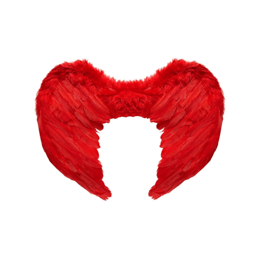 Alpha 55 Ailes en Plumes 50 x 45 cm Rouges