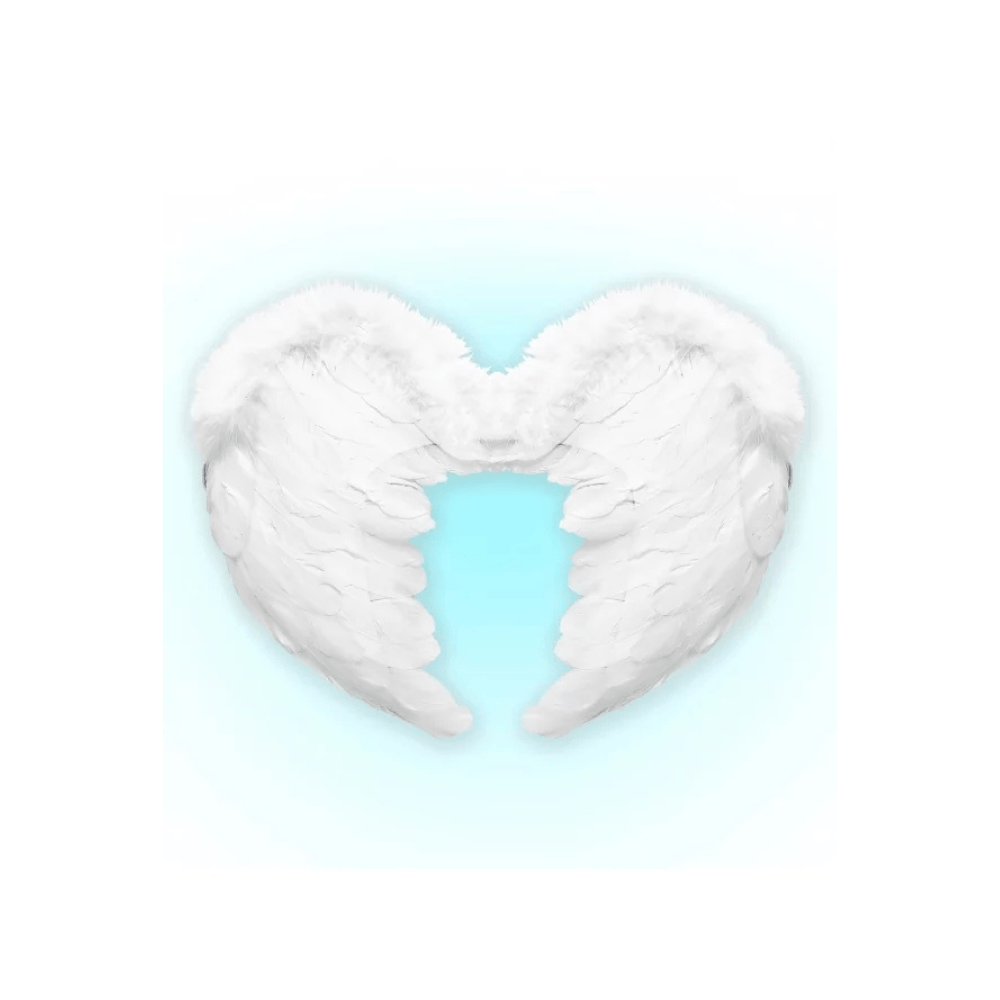 Alpha 55 Ailes en Plumes Blanches – Accessoire Déguisement
