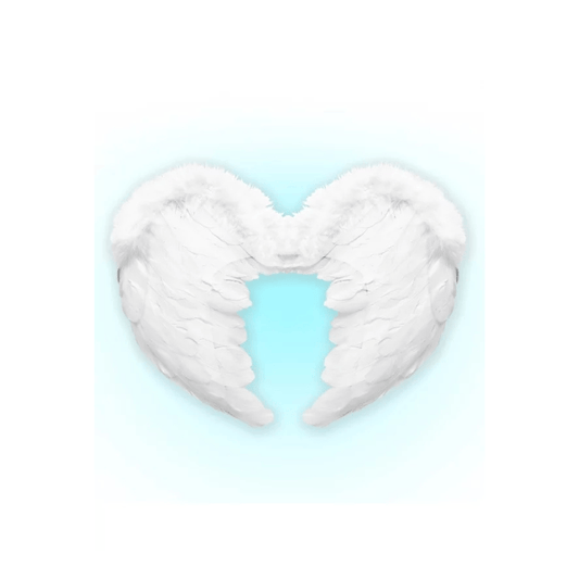 Alpha 55 Ailes en Plumes Blanches – Accessoire Déguisement