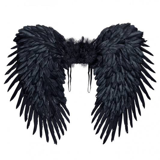 Alpha 55 ailes Noir Grandes ailes en plumes noires