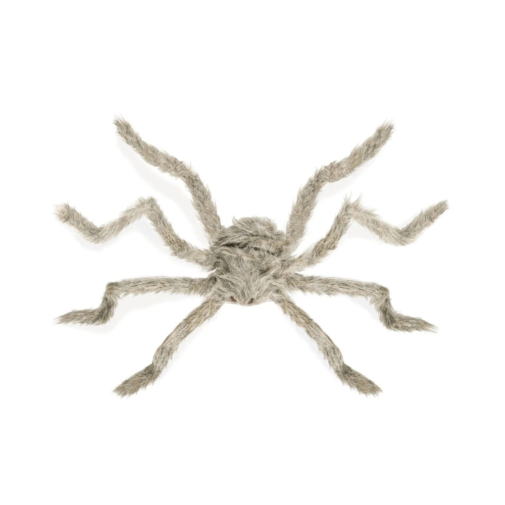 Alpha 55 Araignée Géante Poilue Beige 75 cm – Halloween