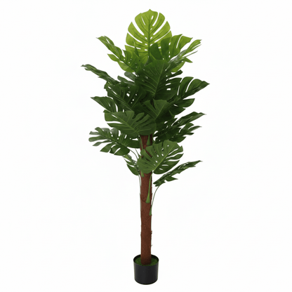 Alpha 55 Arbre Artificiel Monstera – Déco Tropicale