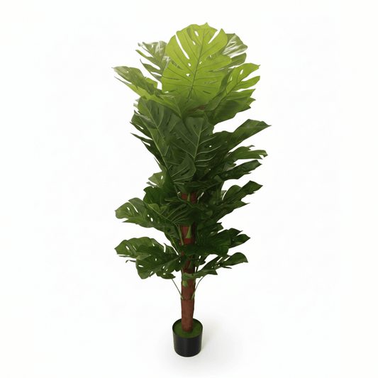 Alpha 55 Arbre Artificiel Monstera – Déco Tropicale & Réalisme Chic