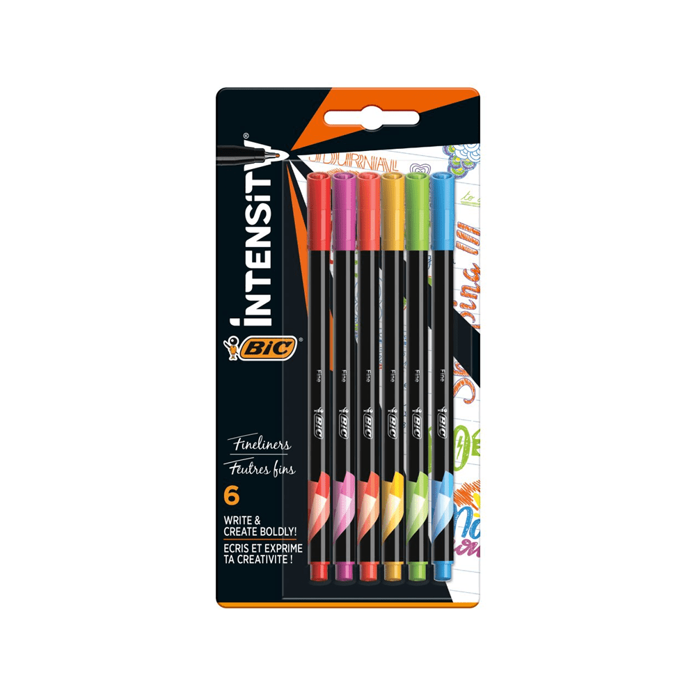 BIC feutre ecriture x6 intensity fine rainbow