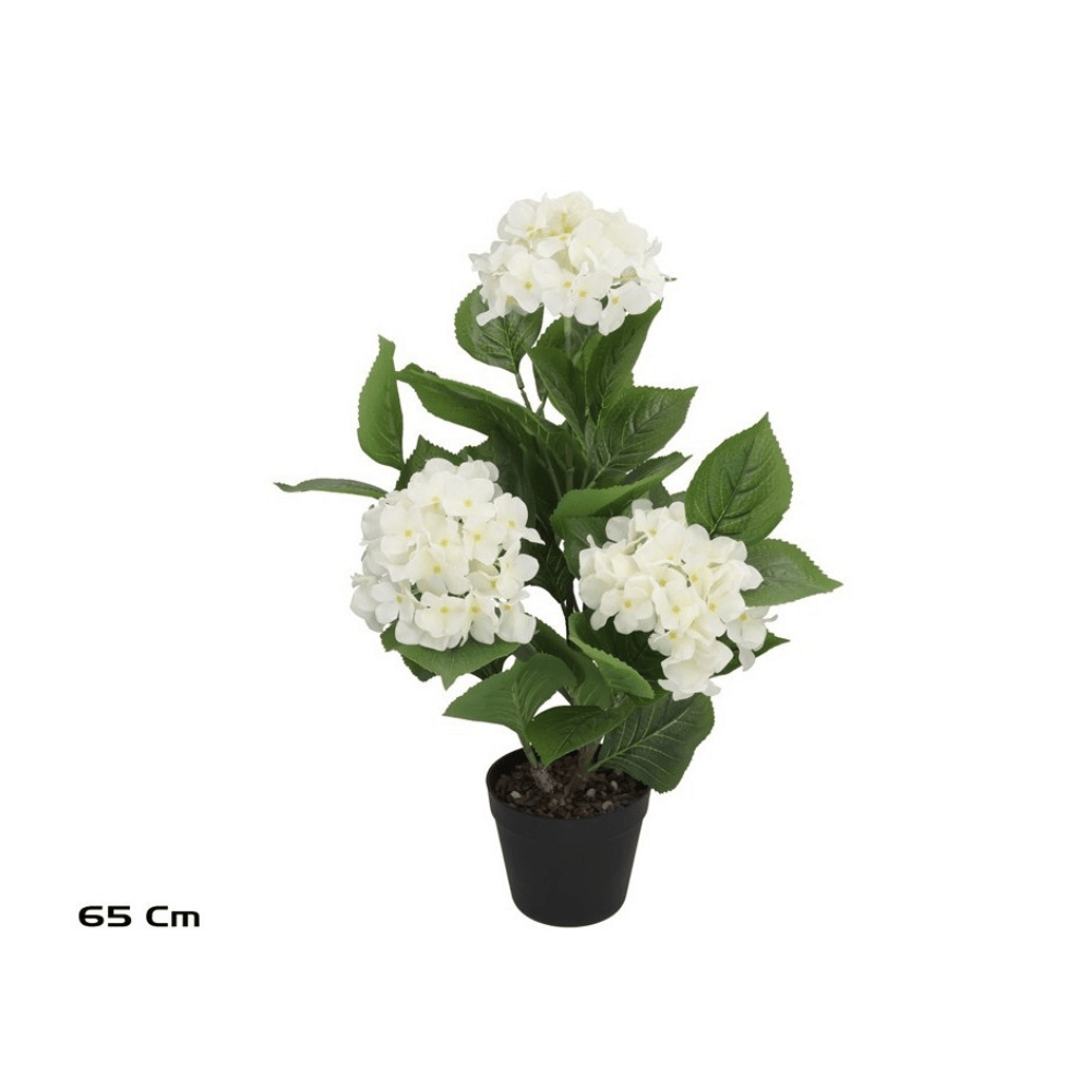 Alpha 55 Blanc Hortensia Real Touch en pot plastique déco
