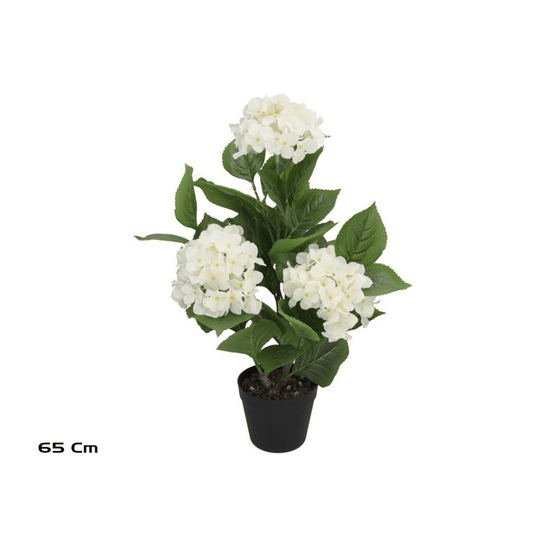 Alpha 55 Blanc Hortensia Real Touch en pot plastique déco