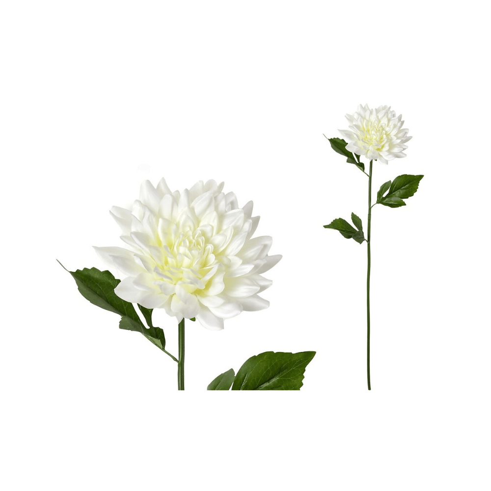 Alpha 55 Blanc Tige dahlia décorative élégante