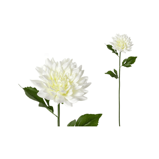 Alpha 55 Blanc Tige dahlia décorative élégante