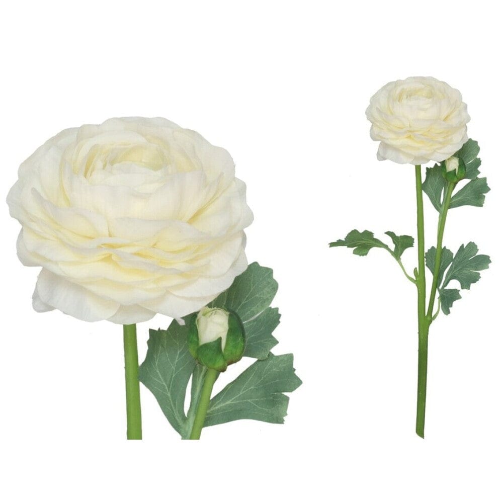 Alpha 55 Blanc Tige de 2 fleurs de renoncule