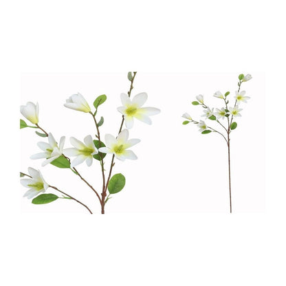 Alpha 55 Blanc Tige magnolia x9