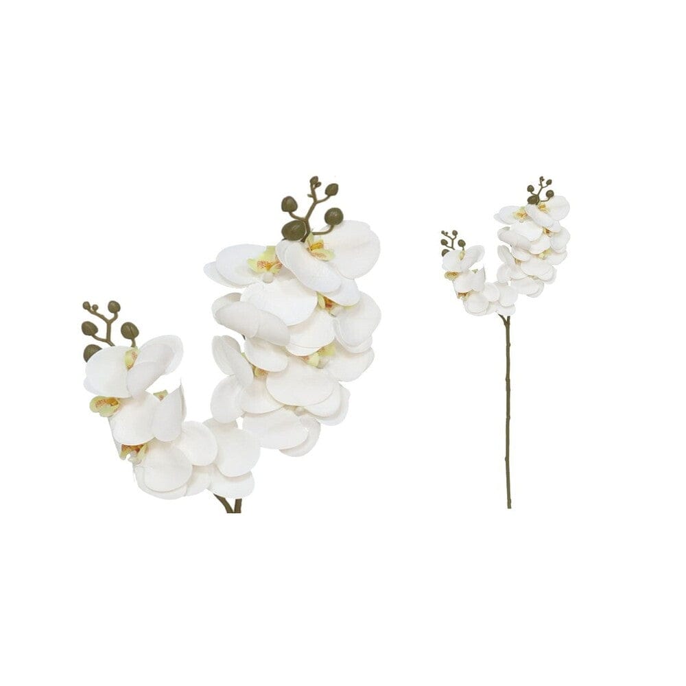 Alpha 55 Blanc Tige orchidée x12