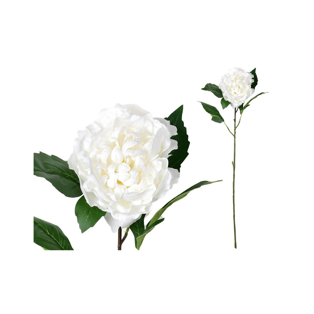 Alpha 55 Blanc Tige pivoine décorative élégante