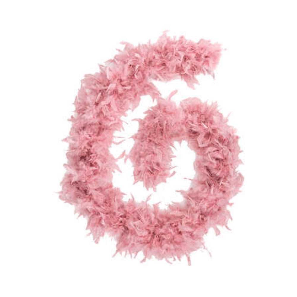 Alpha 55 Boa à plumes rose 100 g – Accessoire déco et festif